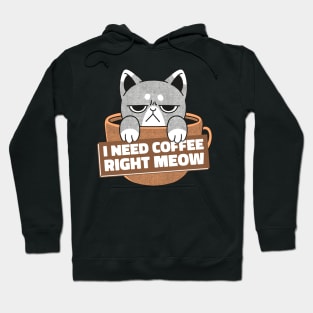 Cat Kitten sweet cat coffee Hoodie